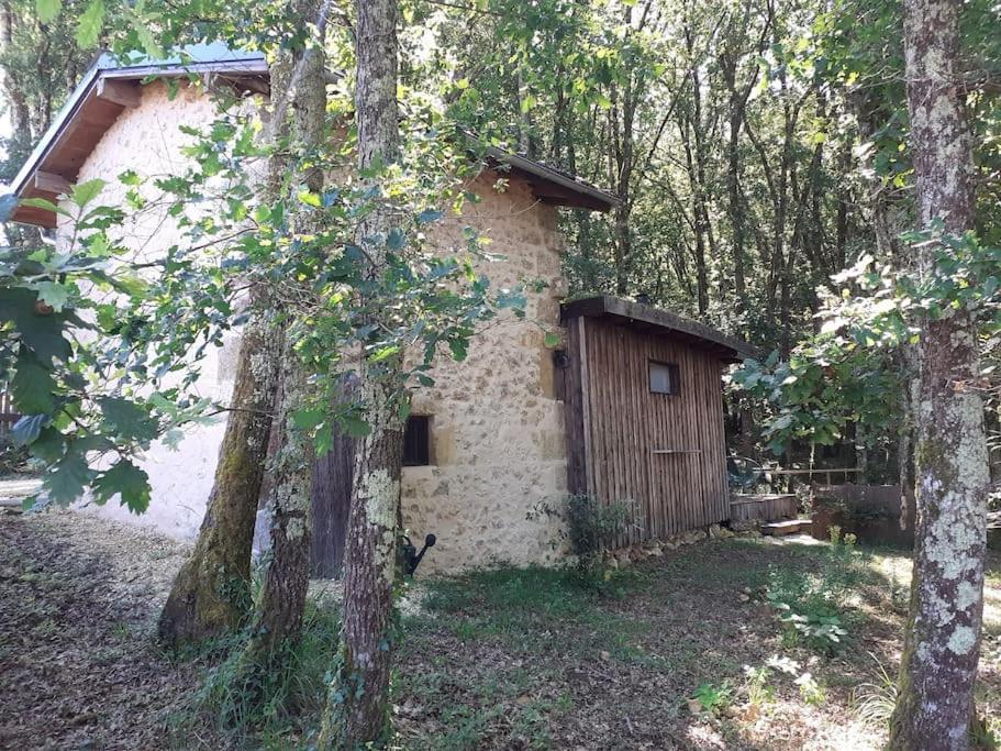 Le Gite De La Cabane De L'Oiseau Couze-et-Saint-Front ภายนอก รูปภาพ