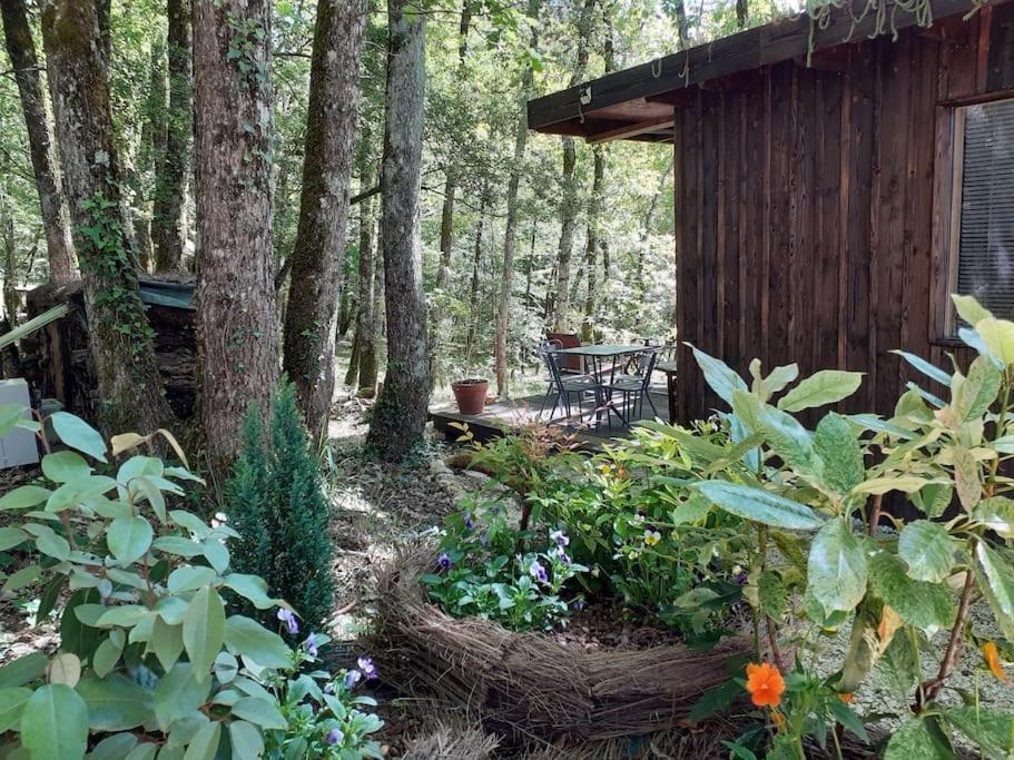 Le Gite De La Cabane De L'Oiseau Couze-et-Saint-Front ภายนอก รูปภาพ