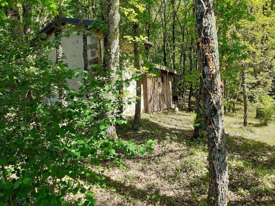 Le Gite De La Cabane De L'Oiseau Couze-et-Saint-Front ภายนอก รูปภาพ
